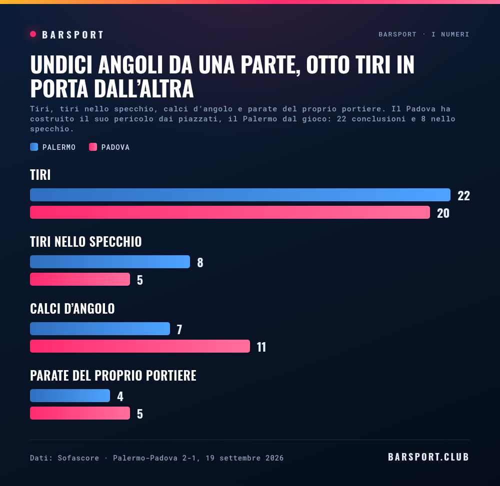 Tiri, tiri nello specchio, calci d'angolo e parate: il Palermo 22 tiri, 8 nello specchio, 7 angoli e 4 parate di Fortin; il Padova 20 tiri, 5 nello specchio, 11 angoli e 5 parate di Sorrentino